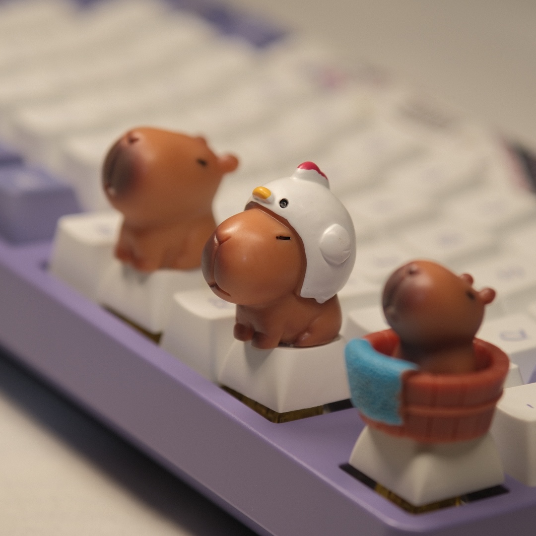 Cute Capybara Keycaps XDA Prof - 3D Printing Keycaps 评论和价格