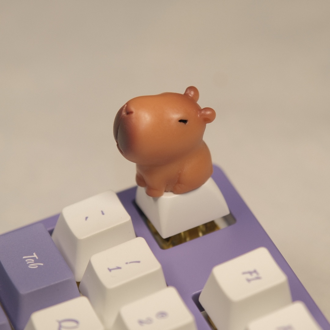 Cute Capybara Keycaps XDA Prof - 3D Printing Keycaps 评论和价格