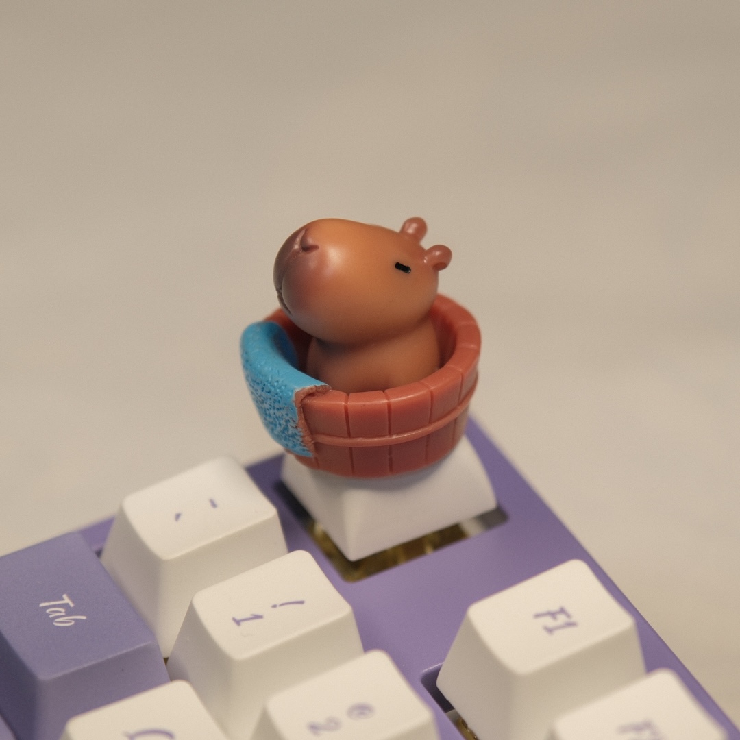 Cute Capybara Keycaps XDA Prof - 3D Printing Keycaps 评论和价格